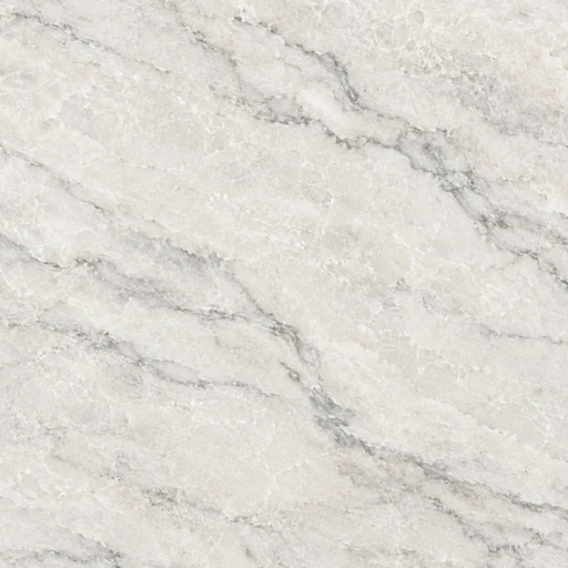 Illustrative dolomite sample with pale crystalline texture and fine grey veining